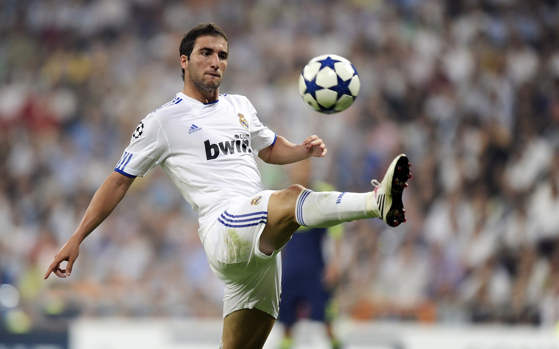 “腰旗美式橄榄球：东部新区赛场带来全新竞技氛围”