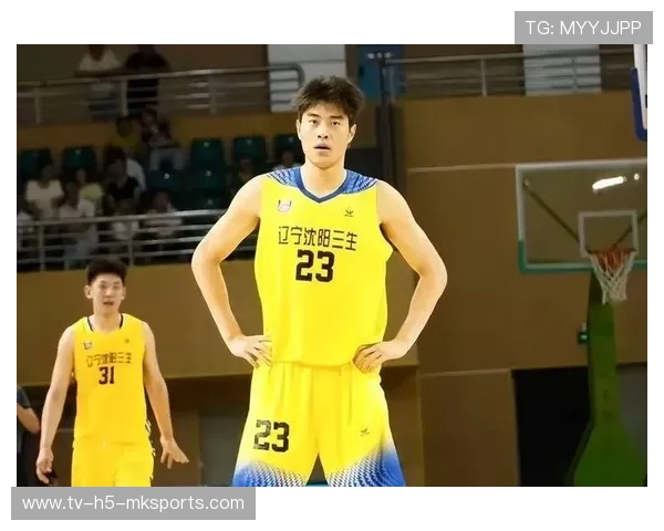 中国篮球是否建立退役球员心理健康关怀系统,中国篮球退役球员名单 中国篮球是否建立退役球员心理健康关怀系统,中国篮球退役球员名单