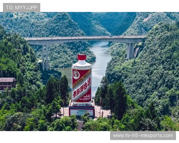 投资者呼吁公平保护,茅台镇项目遭遇困境,茅台镇官方网站 投资者呼吁公平保护,茅台镇项目遭遇困境,茅台镇官方网站